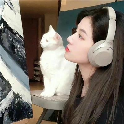 逐彩虹去