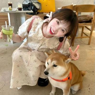 拿着手术刀的猎人